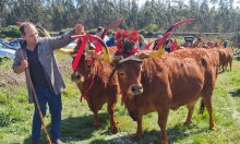 Feira do Gado!